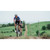2027 Santa Cruz Stigmata Frame image 3