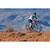 2027 Enve XC28 image 6