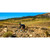 2027 Enve Gravel Disc Fork image 6