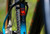2026 Marin Bobcat Trail 3 image 4