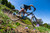 2026 Marin Bobcat Trail 3 image 6
