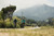 2026 Marin Fairfax 2 image 7