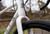 2025 Marin Gestalt 1 - White image 2