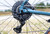 2026 Marin Nicasio + image 3