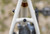 2026 Marin Nicasio 1 image 2