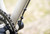 2026 Marin Nicasio 1 image 3