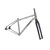 2027 Salsa Fargo Ti Frameset 29 - Brushed Titanium image