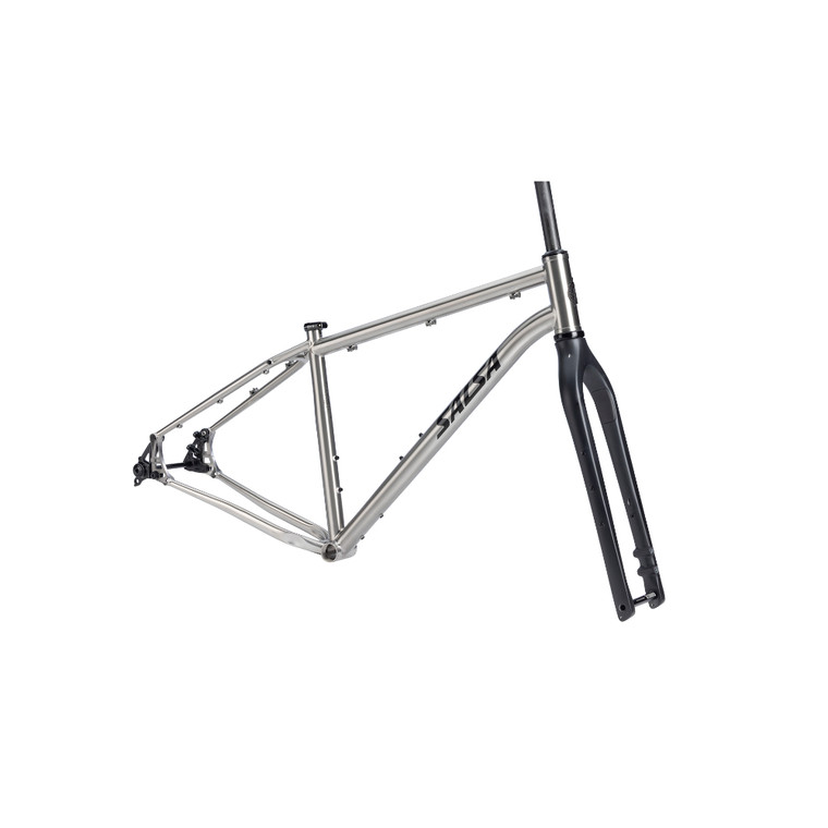 2026 Salsa Fargo Ti Frameset - Titanium image