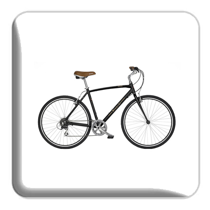 Hybrid/Cruiser Bikes