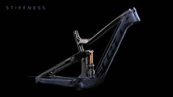 scott ransom frame for sale