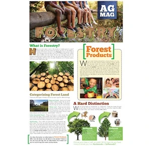 Forestry Ag Mag (pack of 30)