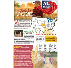 Wheat Ag Mag (pack of 30)
