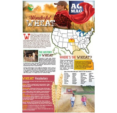 Wheat Ag Mag (pack of 30)