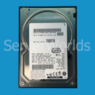 Dell 7485R 9.1GB U160 10K 68Pin Drive MAG3091MP CA05747-B36700DL