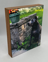 Photo ShoutBox 8x10