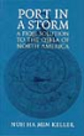 Port in a Storm image