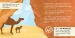 Our Prophets: Our Heroes - Prophet Salih (السلام عليكم) image 2