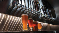 ​Unlocking the Diversity of Beer: From Ales to Lagers