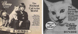 Classic and rare Disney Sunday night movie "The Richest Cat in the World" BUY NOW on DVD