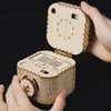 Treasure Lock Box -3D Wooden Puzzle