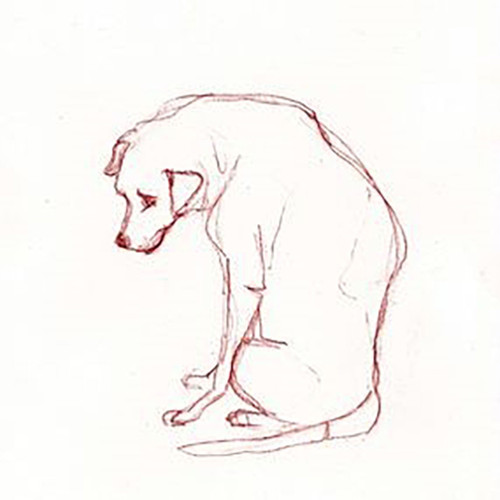 Chien errant -Fine Art Drawing by Lionel le Jeune