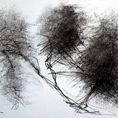 Etude d'arbres -Fine Art Drawing by Lionel le Jeune