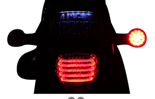 ProBEAM Rear Red Ringz Turn Signals