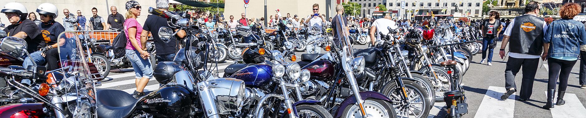 Bike Parts & Motorcycle Accessories Online Store - Riders Biker Supply