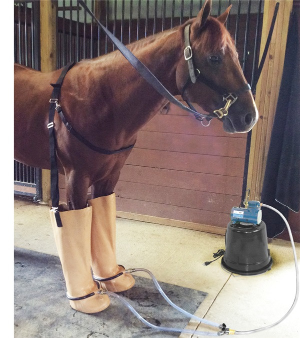 The Harness Shop Online - Offering horse tack, horse equipment, horse ...