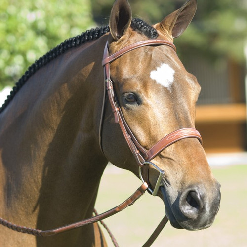 Rodrigo Pessoa® Fancy Wide Show Bridle w Raised Laced Reins