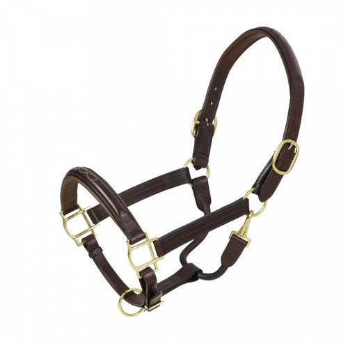 Aramas® Fancy Raised Padded Halter with Brass Snaps