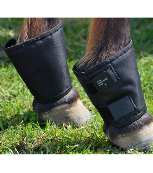 Click Fetlock Shield