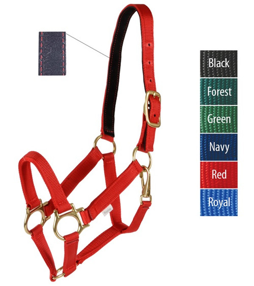 Track Halter