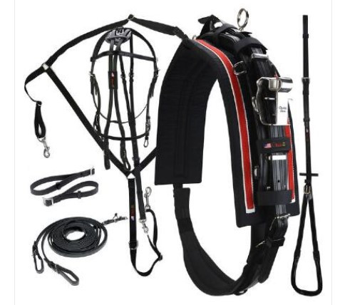Walsh 1800 Complete Harness