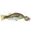 Steel Dog Freshwater Bass with Rope