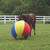 Jolly Mega Ball™ Cover 40"