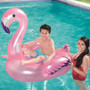 Flamingo Pool Rider 1.27M | Prices Plus