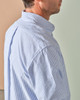 Oxford Button Down Shirt (Stripe)-13