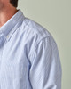 Oxford Button Down Shirt (Stripe)-9