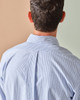 Oxford Button Down Shirt (Stripe)-12