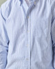 Oxford Button Down Shirt (Stripe)-7