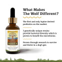 The Wolf | Species Appropriate Probiotic by the Adored Beast