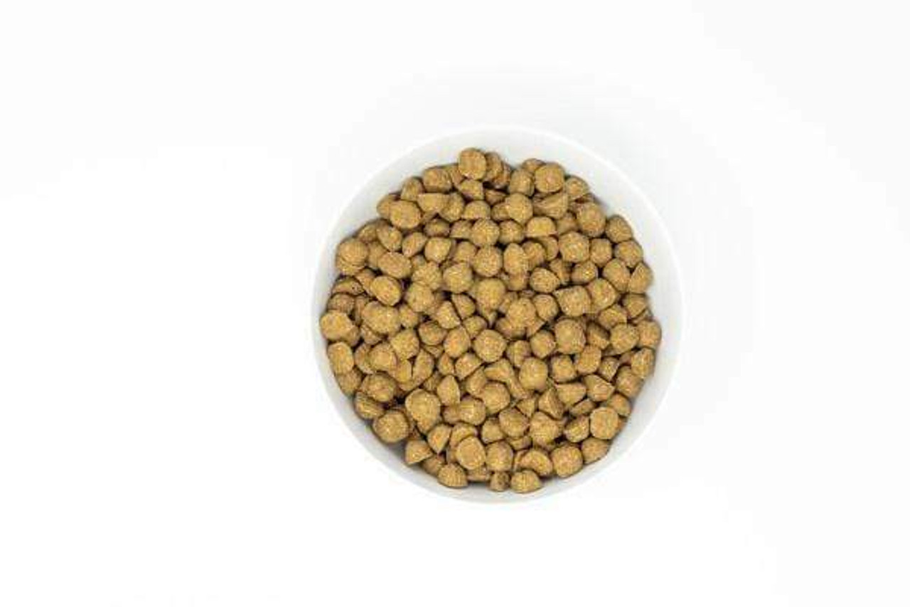 Dry Kibble