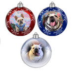 The Custom Ornament that will be shipped to you for $15.00 extra.  