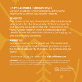 Chaga Mushrooms | Liquid Triple Extract by Adored Beast