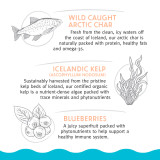 Arctic Char & Kelp Soft Chew Nibblets For Dogs