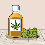 B2TR Foster Calming Aid