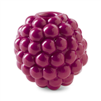 Planet Dog Orbee-Tuff® Raspberry with 