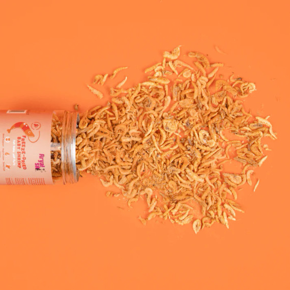Freeze-dried Baby Shrimp by Arya Sit