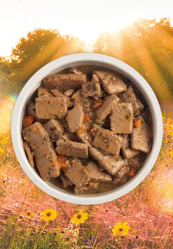Acana Premium Chunks Beef Recipe in Bone Broth 12.8oz
